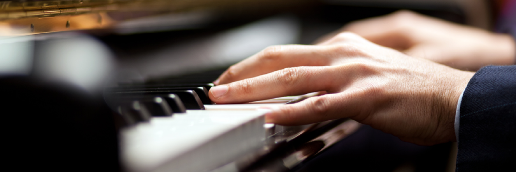 Beruflicher Werdegang